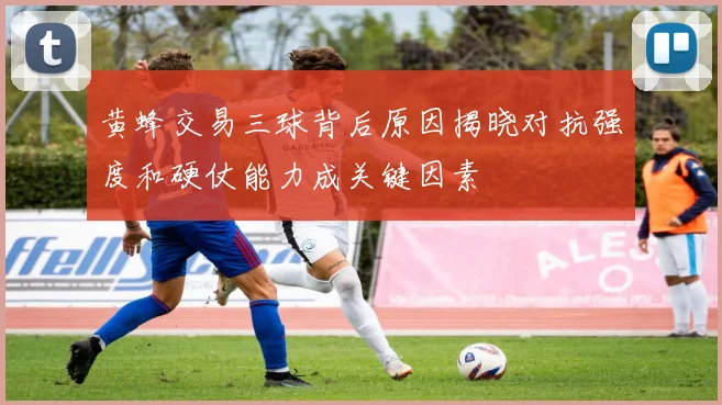 黄蜂交易三球背后原因揭晓对抗强度和硬仗能力成关键因素