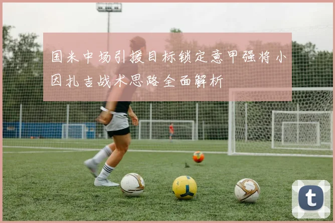 国米中场引援目标锁定意甲强将小因扎吉战术思路全面解析