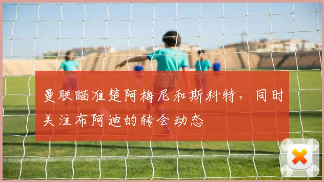 曼联瞄准楚阿梅尼和斯科特，同时关注布阿迪的转会动态